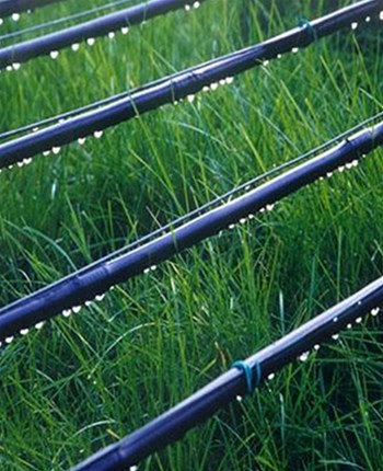 PE管成为农业节水灌溉的新选择